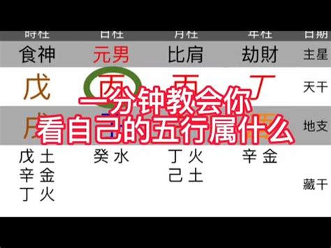 五行屬性測試